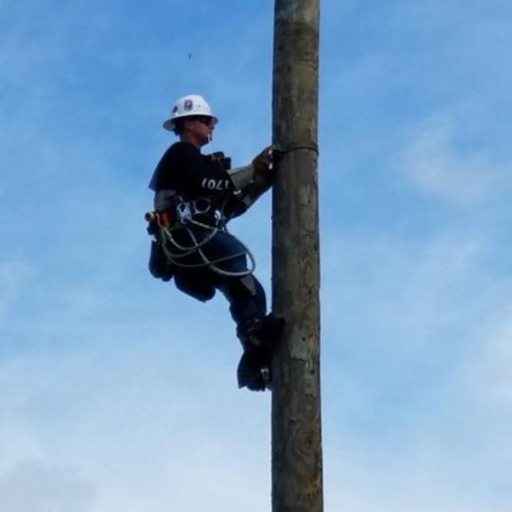 Meet your Posher, Brandon